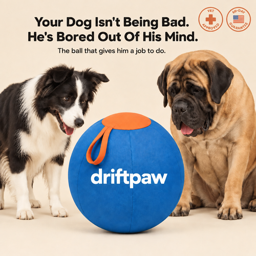 The Driftpaw Giant Play Ball